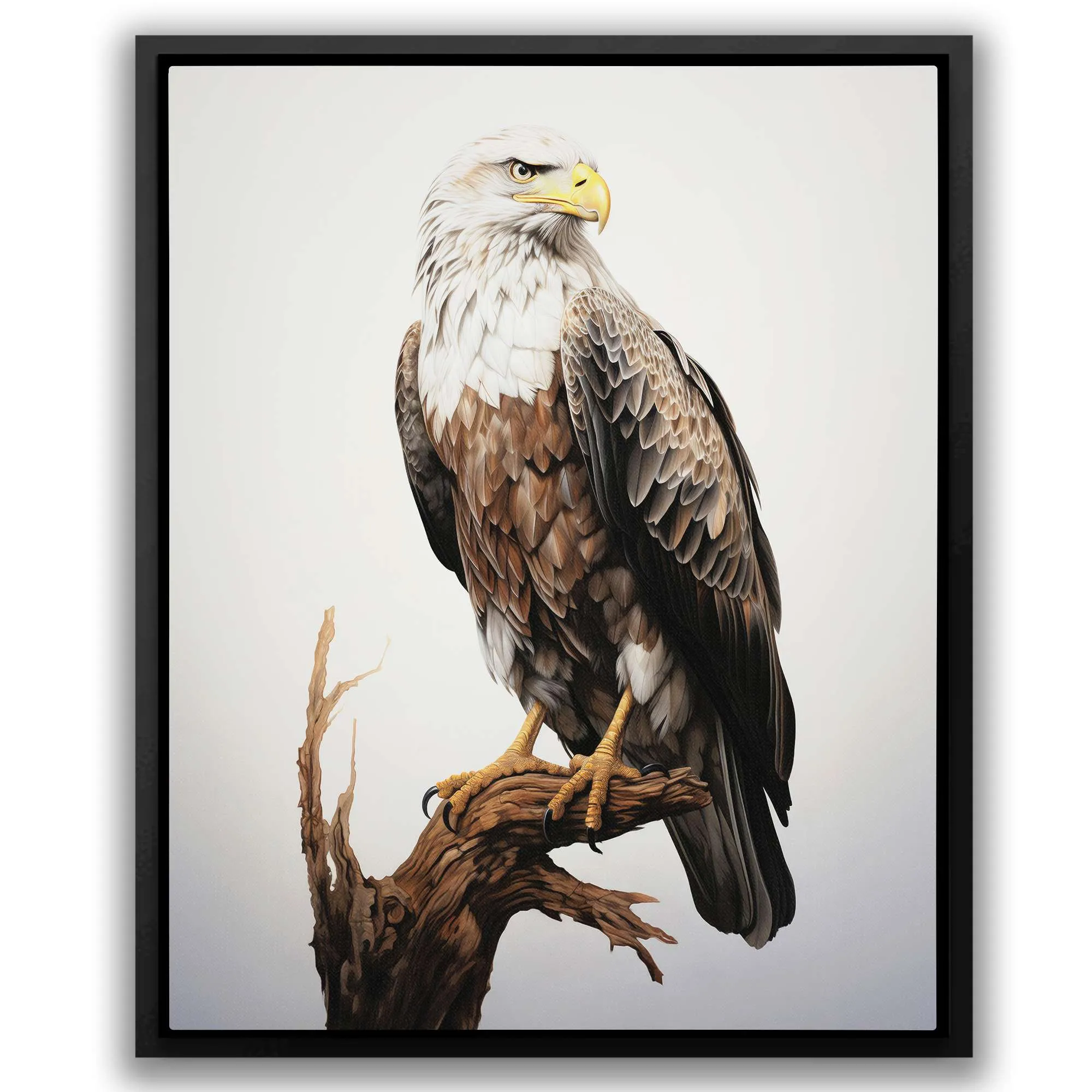 Bald Eagle Drawing