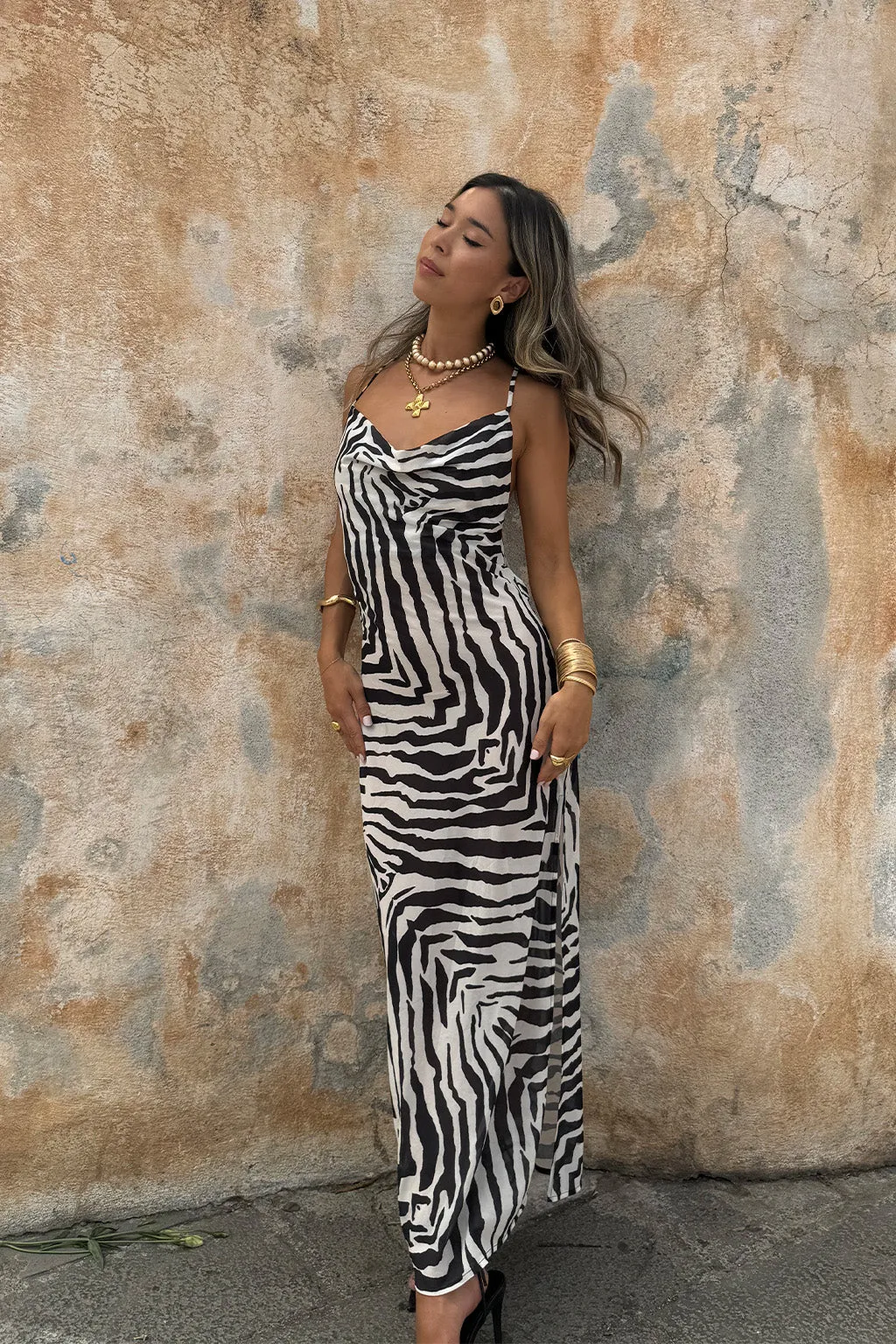 Gianna Zebra Cowl Neck Chiffon Maxi Dress